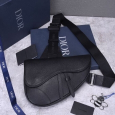 Mens Christian Dior Waist Chest Packs